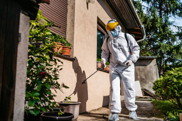 Best Residential Pest Control  in Trenton, TN