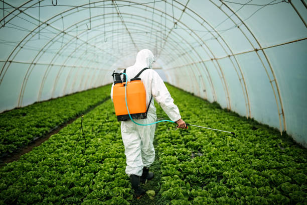 Best Pest Control Near Me  in Trenton, TN