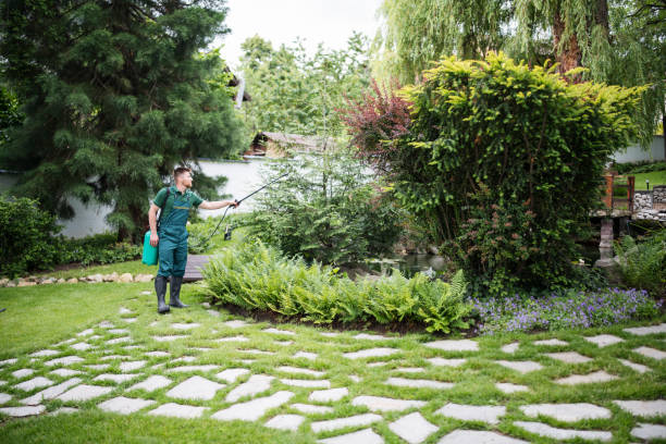 Best Affordable Pest Control Services  in Trenton, TN