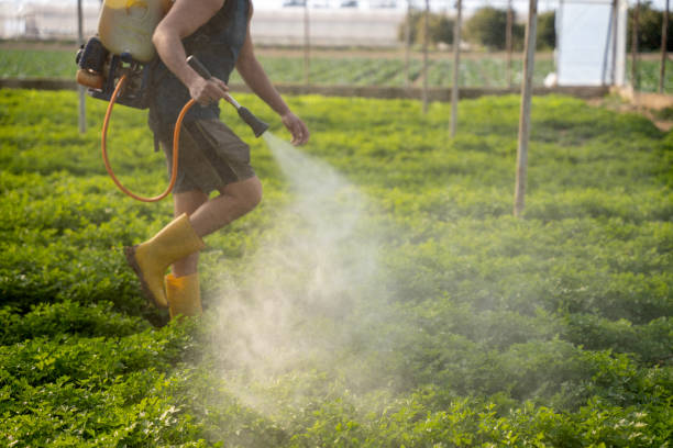 Best Pest Inspection Near Me  in Trenton, TN