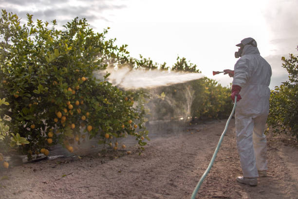 Best Cockroach Control Services  in Trenton, TN