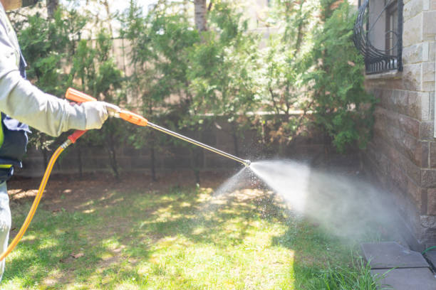 Best Local Pest Control Services  in Trenton, TN
