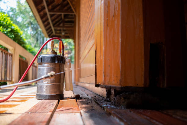 Best Insect Control  in Trenton, TN
